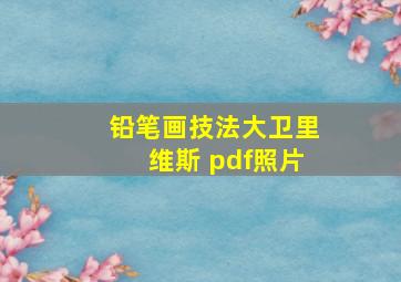 铅笔画技法大卫里维斯 pdf照片